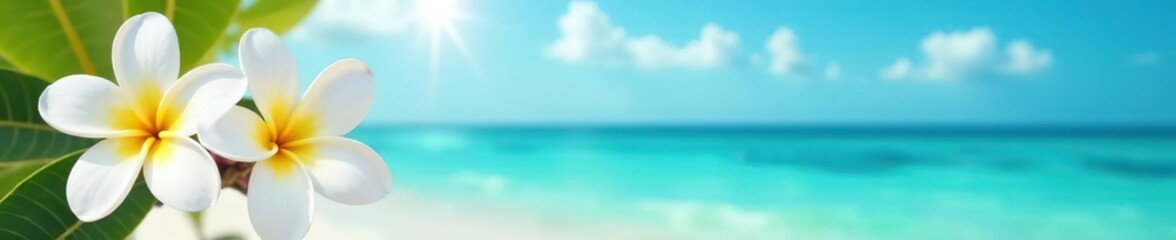 White plumeria flowers on blue ocean background in bright sunlight, tranquil tropical moment, white plumeria,  backdrop