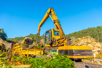 Excavator moving wood and pallets outside a recycling plant