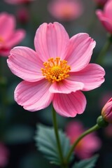 Obraz premium A close-up shot of a delicate pink flower with a vibrant yellow center, close-up, vibrant