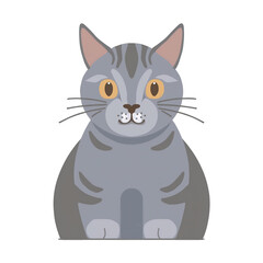 Fototapeta premium Cute Gray Tabby Cat Sitting and Smiling on Transparent Background