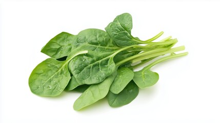 Fototapeta premium Fresh spinach leaves on a white background – Realistic, highly detailed close-up