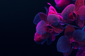 Vibrant close-up of neon orchids against a dark background for stunning floral aesthetics.