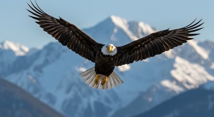 Eagle Gliding Over Majestic Mountain Range