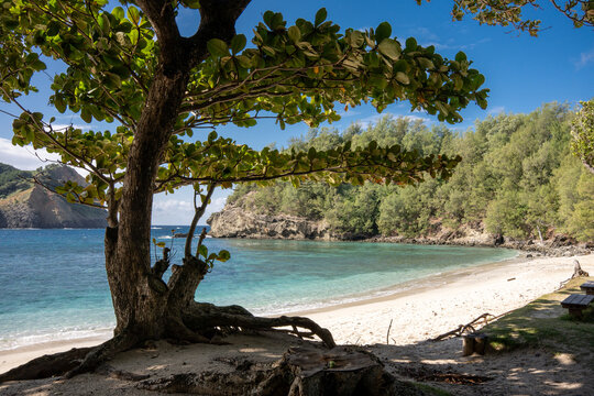 コペペ海岸　小笠原　東京都