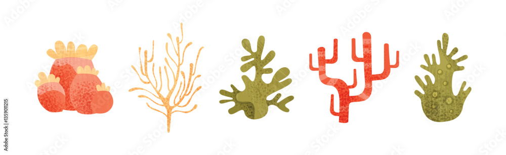 Poster sea weeds and algae of different color and shape vector set