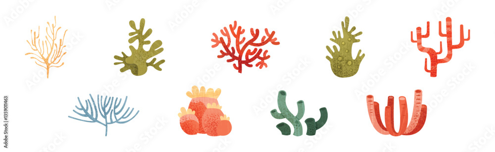 Poster sea weeds and algae of different color and shape vector set