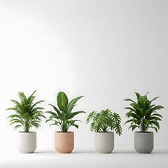 Obraz premium A collection of stylish indoor plants in modern pots, adding a touch of greenery to any home or office. Perfect for enhancing your living space with fresh, vibrant foliage.