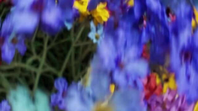 A vibrant, abstract video of colorful flowers shot from a low angle, creating a dreamy, blurred effect with a focus on red, blue, and yellow hues.