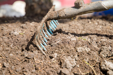 Garden tools in the ground. Gardening concept. Selective focus.