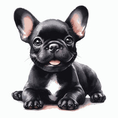 French Bulldog dog isolated watercolor vector illustration svg