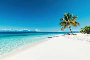Obraz premium Tropical beach paradise with palm tree, clear turquoise water, for tourism ads