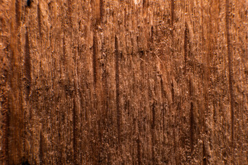 Embossed texture of the bark of oak. Panoramic photo of the oak texture