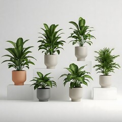 Fototapeta premium A collection of stylish indoor plants in modern pots, adding a touch of greenery to any home or office. Perfect for enhancing your living space with fresh, vibrant foliage.