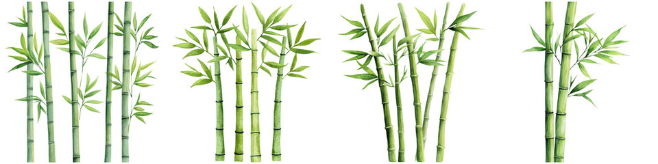 Zen productivity focus and meditation, A cluster of vibrant green bamboo stalks with lush leaves, showcasing various angles and arrangements of this versatile plant.
