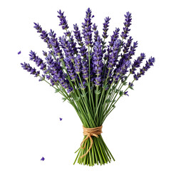 Naklejka premium Aromatic Lavender Bouquet: A Stunning Display of Purple Perfection