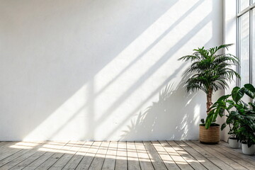 empty room with plant and shadow on white wall, interior design concept. wooden floor and plants