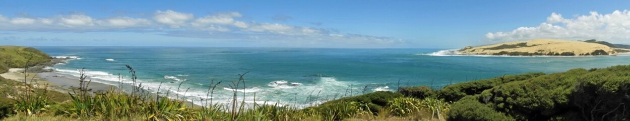 panoramic view of the headlands, sand dunes, and the tasman sea  along the west coast of the north island of new zealand on a sunny summer day  while hiking the signal station track, near omapere