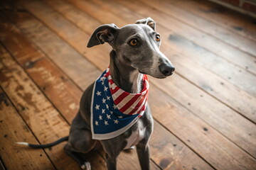 dog with american flag in the mouth on wooden background. Congratulations for family, loved ones, relatives, friends and colleagues. Pets care concept