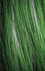 Obraz premium Abstract Green Grass with White Stripes Texture 