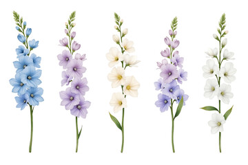 Obraz premium Watercolor Flower Element Set