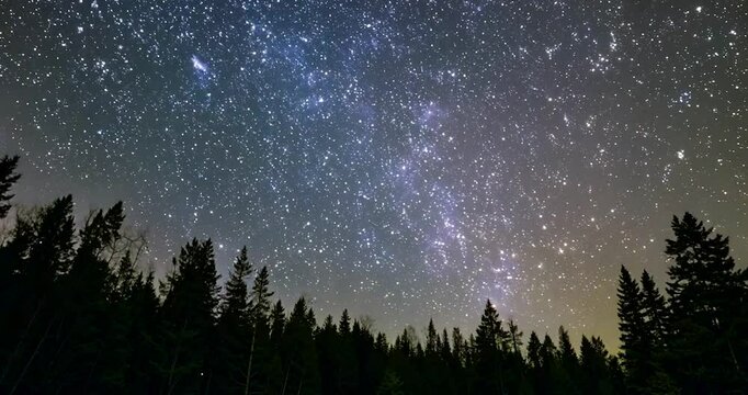 Starry night sky with raindrops on a window and a silhouetted tree under the moonlight