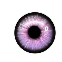 Purple iris of eye