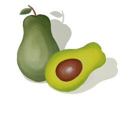 Illustration of avocado fruit