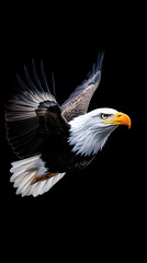 Obraz premium Majestic bald eagle in flight against a black background (2)