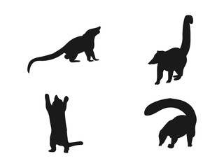 Silhouette of South American coati. Coati silhouette cartoon illustration. Coati isolated symbol. Coat silhouette with details. Vector illustration on a white background.