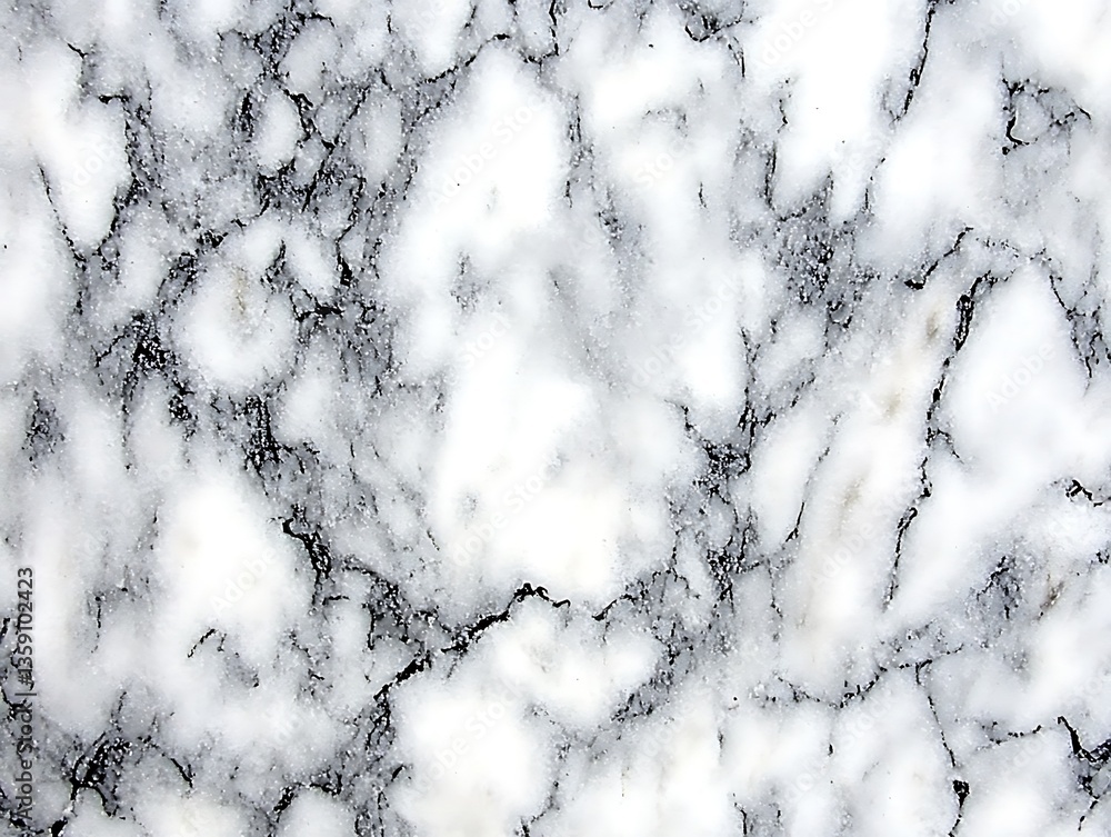 Poster Intricate veining on a white marble surface, creating a textured effect