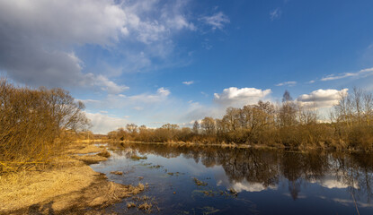 A calm body of water with trees in the background
