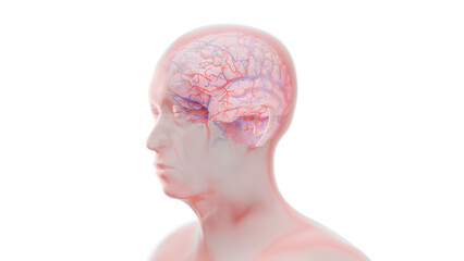 Neurodegeneration, conceptual illustration