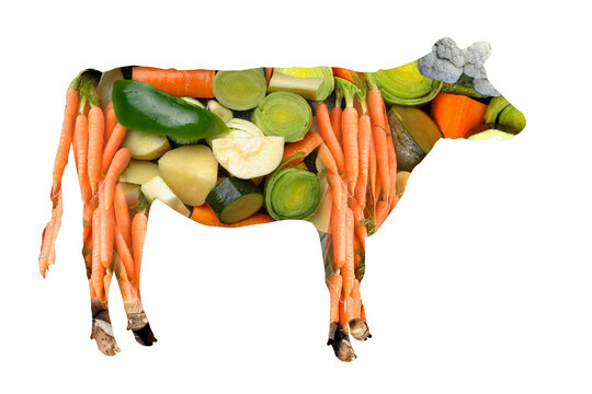 Meat free, conceptual illustration