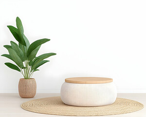 Minimalist interior scene with a round pedestal, woven rug, and tropical plant