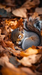 A small squirrel peacefully sleeps among autumn leaves. Its cute face and fluffy tail create a cozy scene in nature. Nature invites tranquility and rest. Generative AI