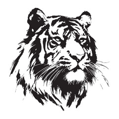 Majestic Bengal Tiger Head Vector Illustration Roaring Animal Design