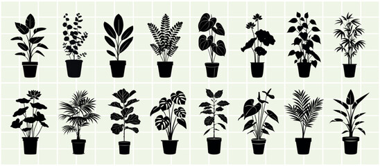 Fototapeta premium Monstera plant silhouette collection, isolated vector set