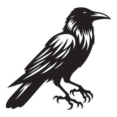 Raven Silhouette Vector Illustration Mysterious Bird Design Graphic Element