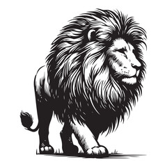 Majestic Lion Illustration A Powerful Symbol of Strength and Courage