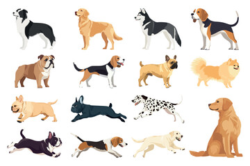 Fototapeta premium Diverse dog breeds illustration, element vector set