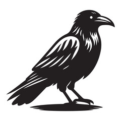 Majestic raven vector illustration perched on a branch design