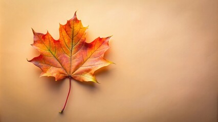A single vibrant orange maple leaf against a muted beige backdrop, showcasing the intricate veins and subtle color gradients that define autumnal beauty.