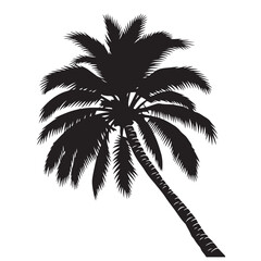 
Palm trees design elements set,silhouette of a plam tree,Palm tree's