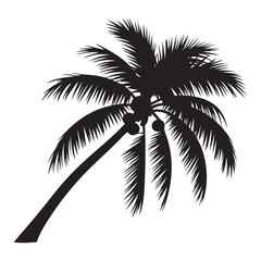 Obraz premium Palm trees design elements set,silhouette of a plam tree,Palm tree's