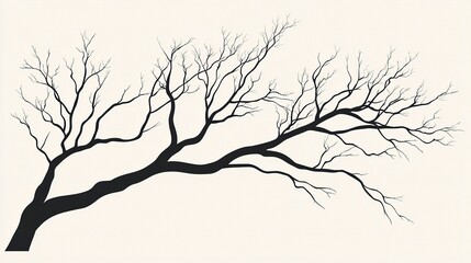 Obraz premium Silhouetted bare tree branches against a pale gray winter sky create a striking contrast to nature's calm