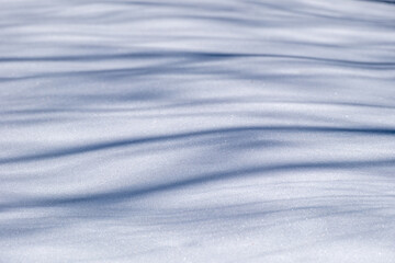 Shadows of tree branches on snow, snow texture