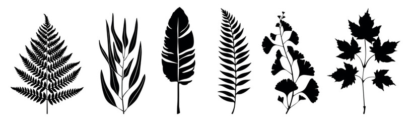 Silhouette botanical leaf collection, isolated vector set