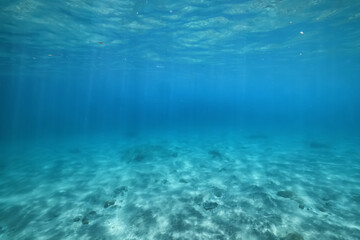 underwater photo blue background panorama ocean surface and bottom of the sea