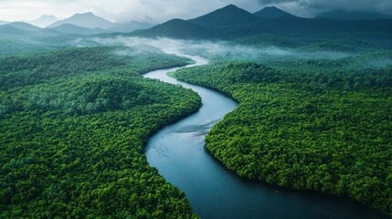 Lush jungle river bend, aerial view, cloudy sky, nature landscape