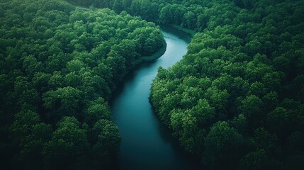 Winding river through lush green forest. Aerial view. Possible use Nature background